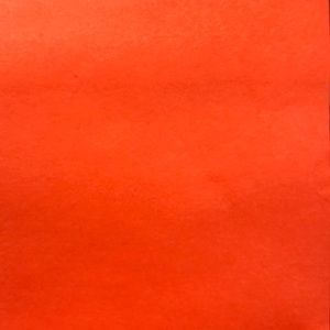 Meet your Posher, Elise